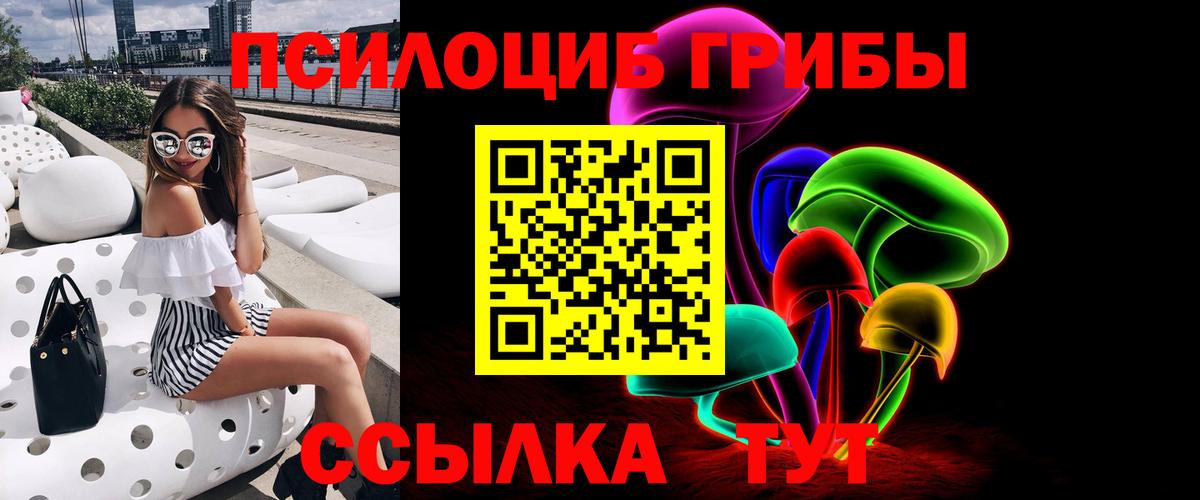 Псилоцибиновые грибы прущие грибы  Псилоцибиновые грибы мицелий  Лесосибирск  Вход с VPN 